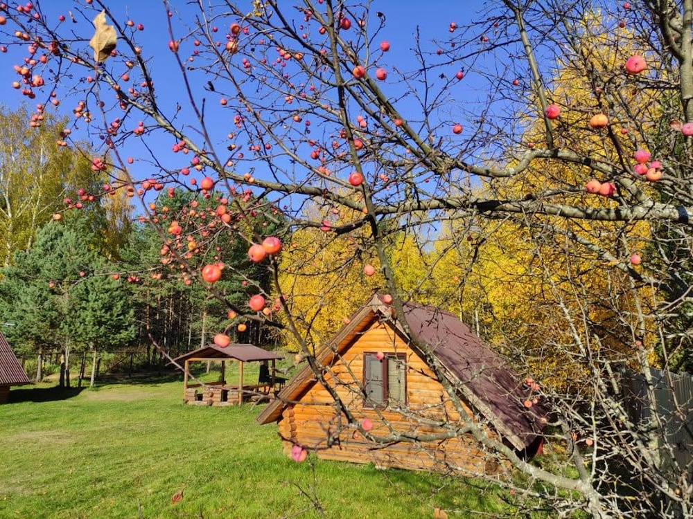 Бронирование домов начнется с 12 января.