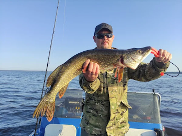 Добро пожаловать на рыбалку